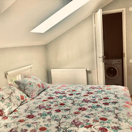 Cozy City Penthouse Apartment, Free Parking Ταλίν Εξωτερικό φωτογραφία